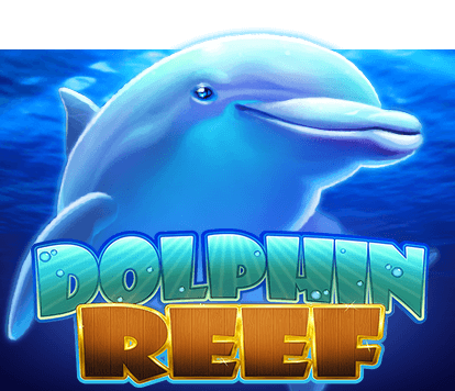 Dolphin Reef PLAY8 UFABET เข้าสู่ระบบ