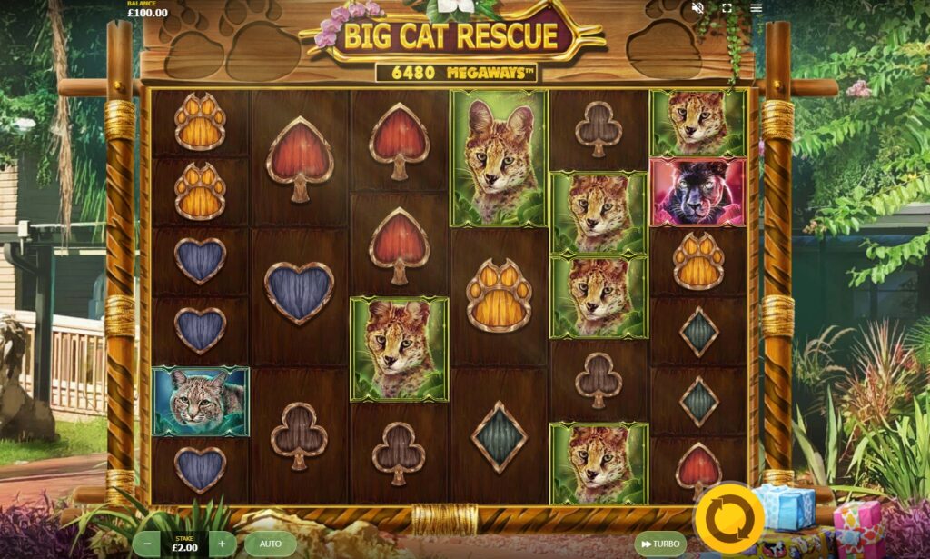 Big Cat Rescue MegaWays Red Tiger Ufabet3663 โปรโมชั่น